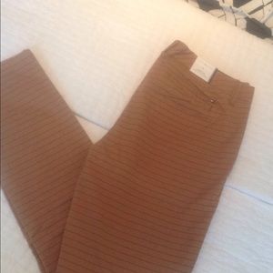 Tommy Hilfiger Hampton women's chinos